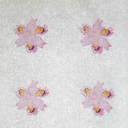 53725-iris-japonica-130